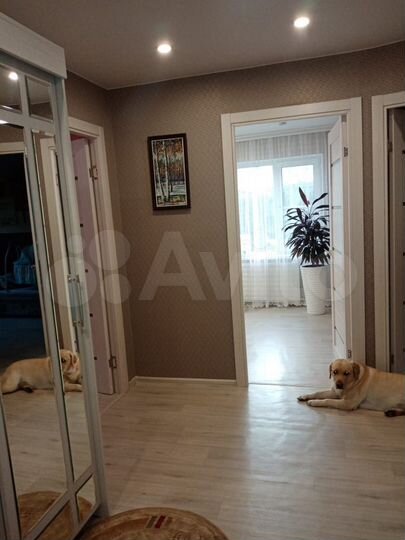 3-к. квартира, 59,9 м², 3/5 эт.