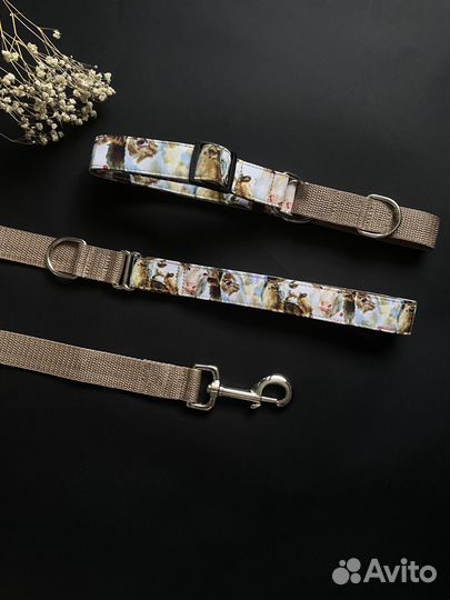 Ошейники для собак