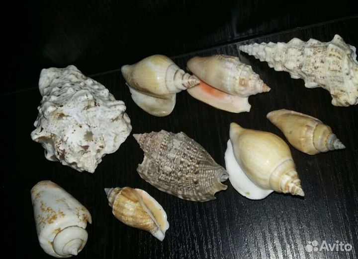 Декор для аквариума