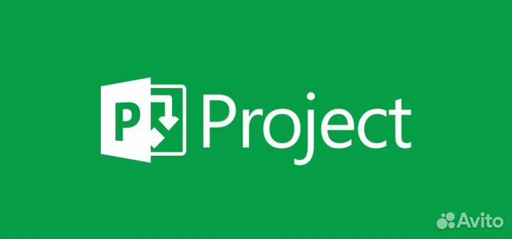 Лицензионный ключ Project Pro 2019