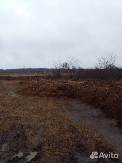 Навоз конский бесплатно и в мешках