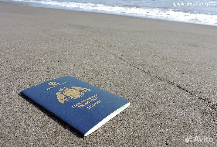 Цифровое гражданство Доминики