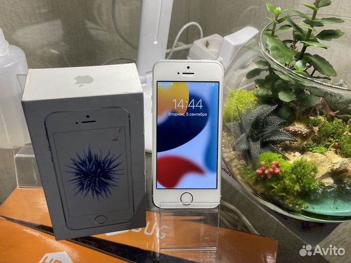 iPhone se 2016 32gb