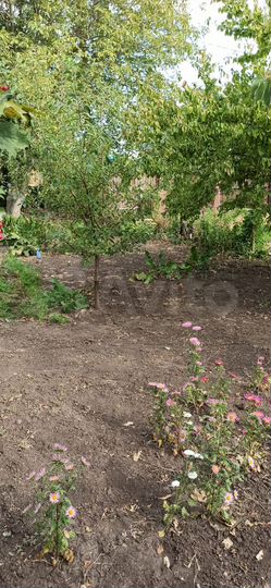 Участок 6 сот. (ИЖС)