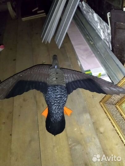 Чучело летящего белолобого гуся