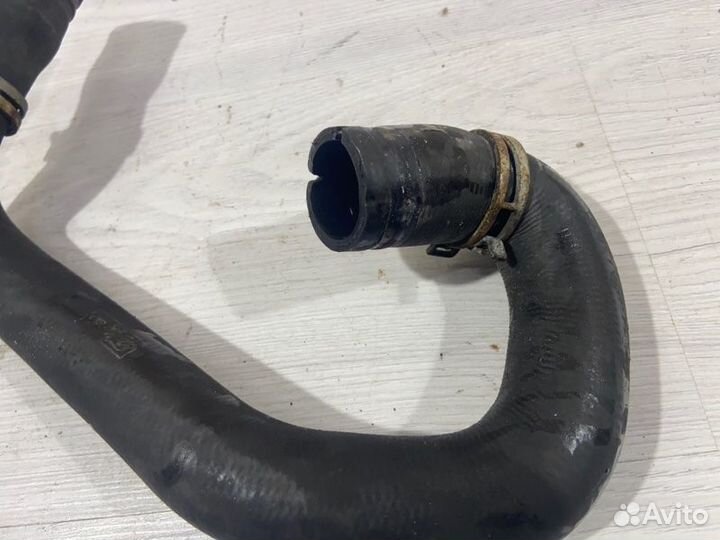 Патрубок радиатора нижний Ford Focus 2 (08-11)