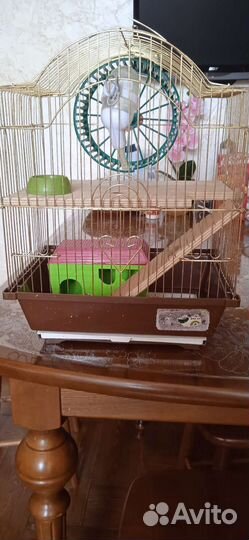 2 клетки для хомяка