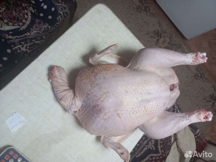 Продукты питания