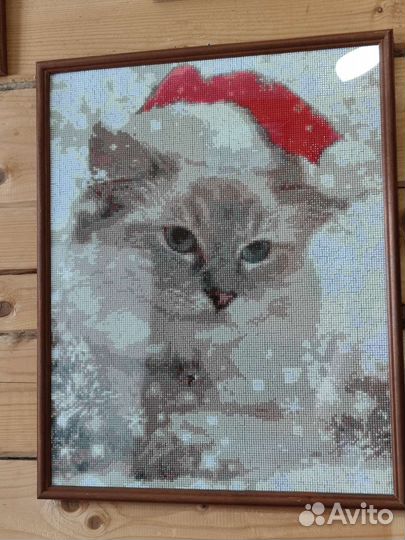 Картина кот в шапочке