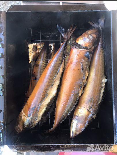 Домашняя коптильня для рыбы