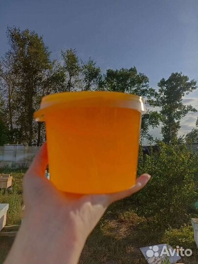 Мед,мёд подсолнечник