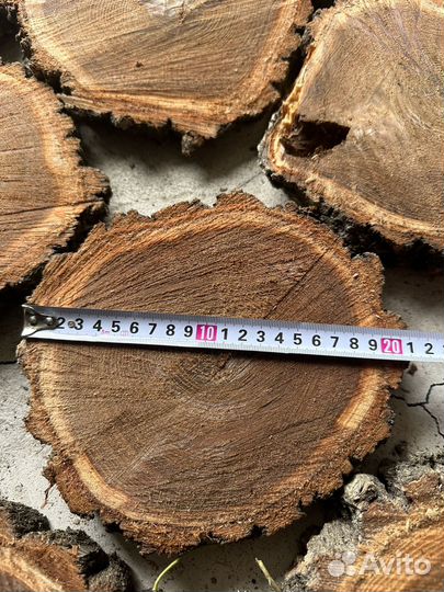 Спилы дерева