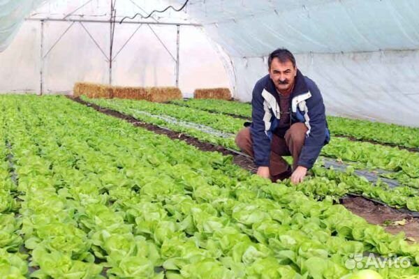 Разнорабочий