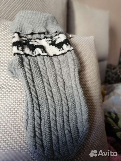 Одежда для собак мелких пород чихуа хуа