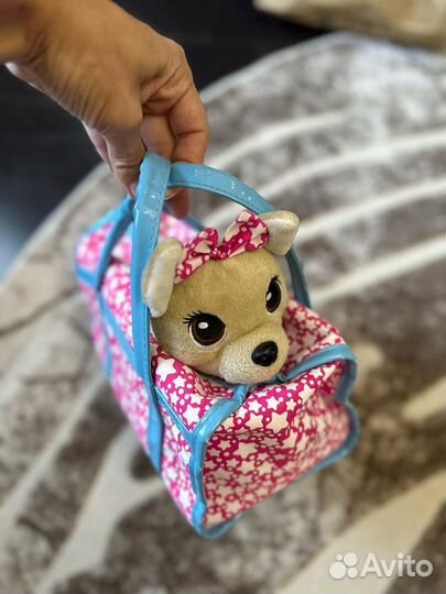 Собачка чичилав в сумочке