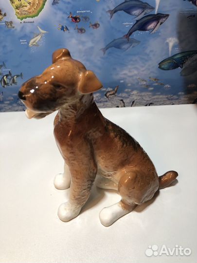 Фарфоровая cтатуэтка Эрдельтерьер СССР 1964 год