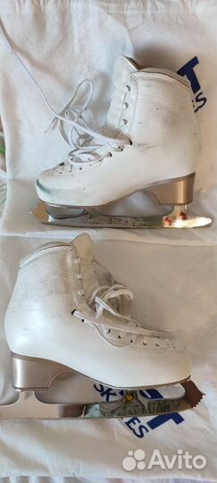 Фигурные коньки edea chorus