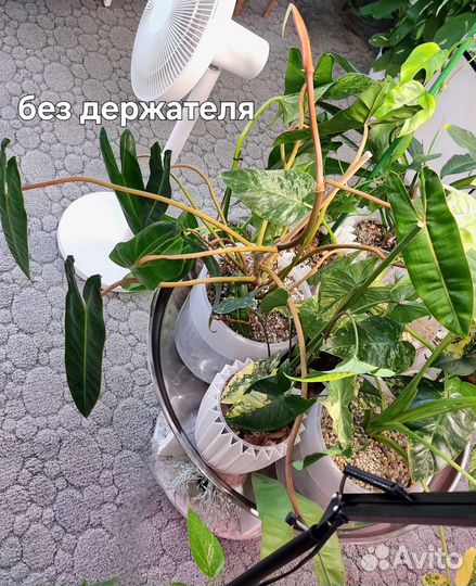 Держатель для стаканов для растений, опора