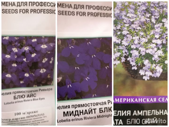 Петуния Калибрахоа Лобелия Колеус