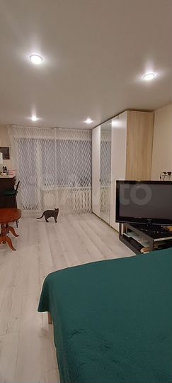 1-к. квартира, 30,5 м², 4/5 эт.