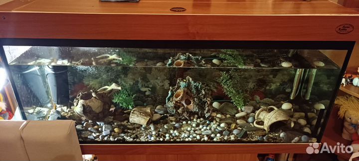 Аквариум