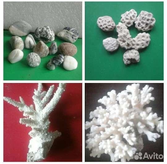 Раковин2хствор,Коралы,Блестящ,Отверстия,Камушки