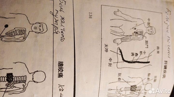 Для знатоков- конспекты для лечения