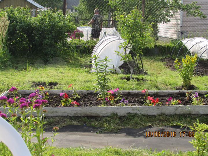 Дача 50 м² на участке 6 сот.