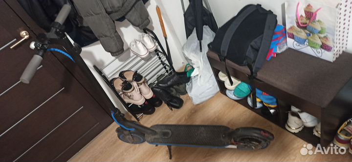 Электросамокат xiaomi m365 pro оригинал