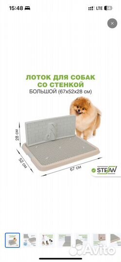 Лоток туалет для собак стена