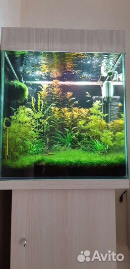 Аквариум с тумбой