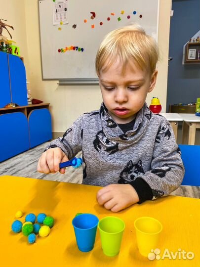 Педагог раннего развития, общеразвивающие заняти