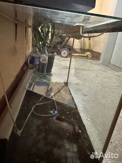 Террариум для рептилий