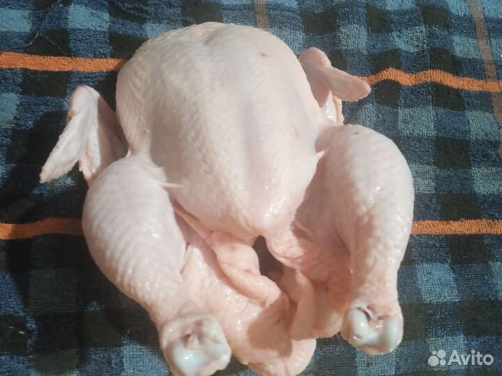 Мясо домашних цыплят