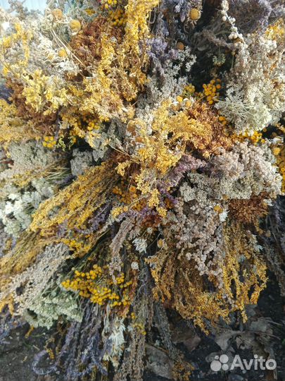 Травяные веники, запарки для бани