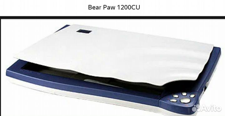 Сканер MustekBearPaw 1200