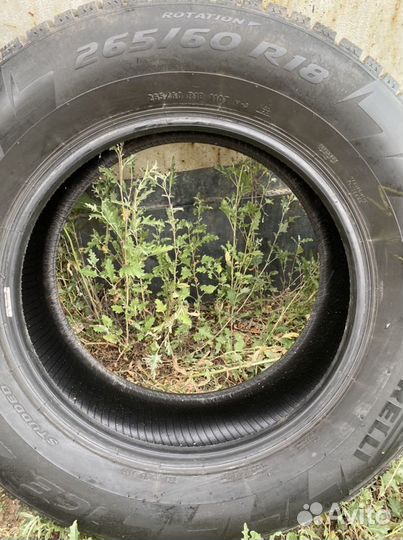 Pirelli Ice Zero 265/60 R18