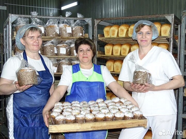 Маркировщик Выплата Каждый день