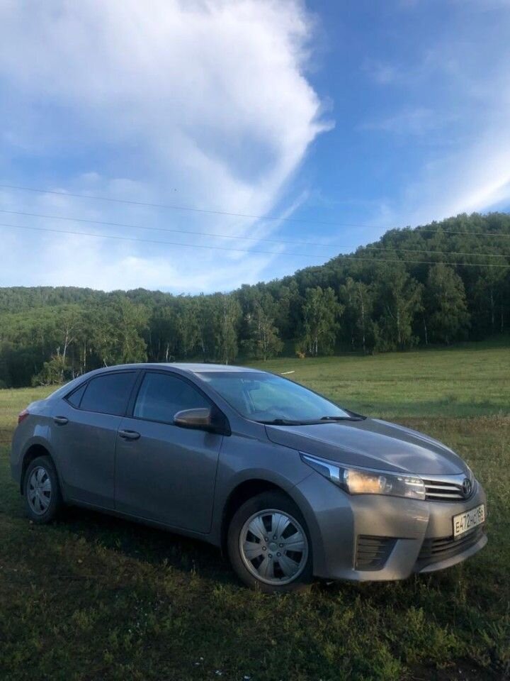 Toyota Corolla: фото владельца