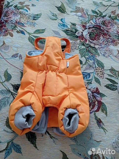 Одежда для собак мелких пород