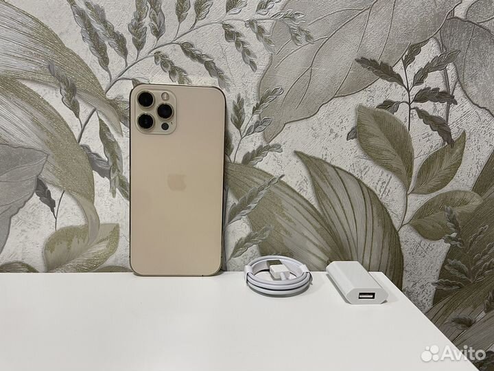 iPhone 12 Pro Max, 256 ГБ