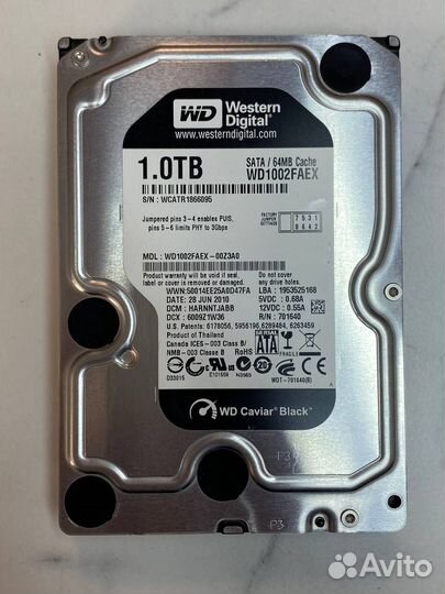 Hdd 1 tb WD
