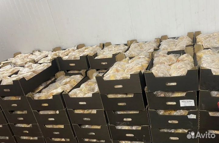 Домашний бройлер,Куры от производителя