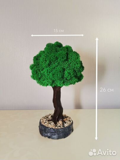 Интерьерное дерево со стабилизированным мхом