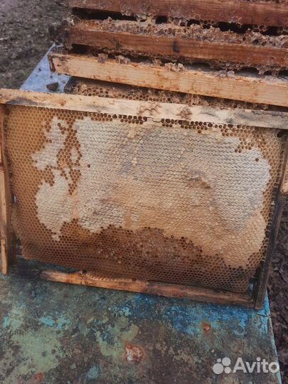 Рамки с вощиной