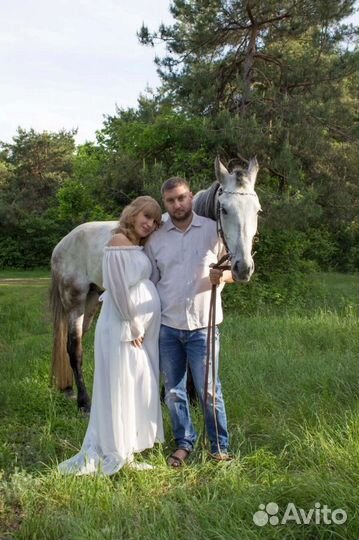 Конные прогулки