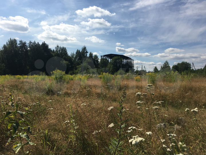 Участок 50 сот. (ИЖС)