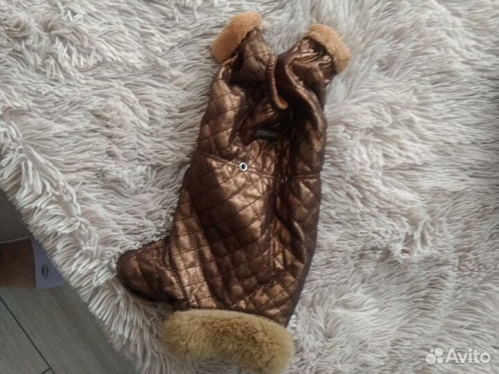 Одежда для маленьких собак и кошек