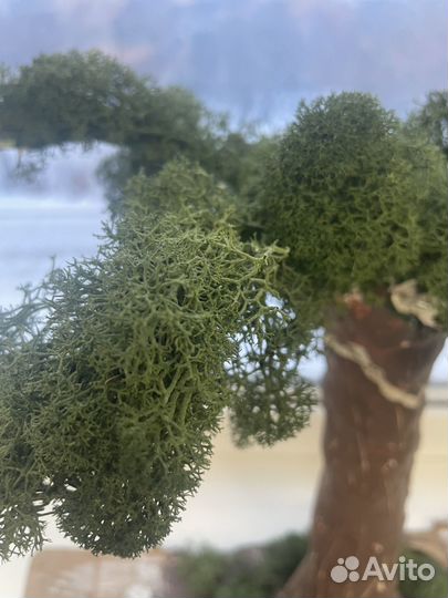 Древо из глины