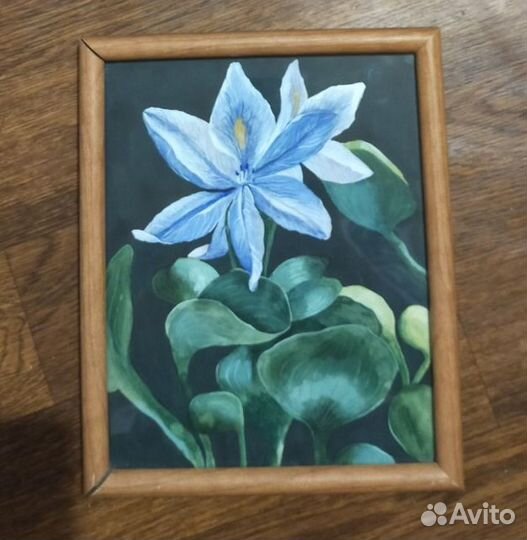 Картины акварель цветы